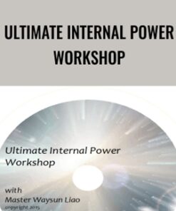 Ultimate Internal Power Workshop - Master Waysun Liao