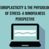 Neuroplasticity & the Physiology of Stress: A Mindfulness Perspective - Clyde Boiston