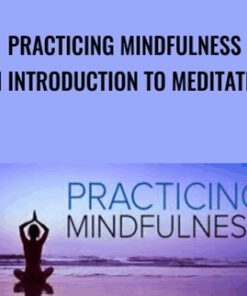 Practicing Mindfulness An Introduction to Meditation