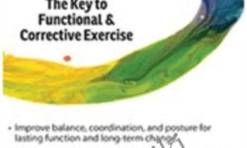 (Re)Defining the Core: The Key to Functional & Corrective Exercise - David Lemke
