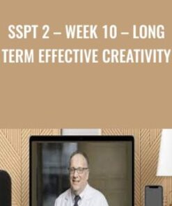 SSPT 2 – WEEK 10 – Long Term Effective Creativity