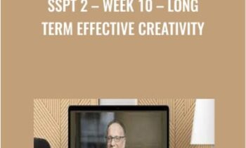SSPT 2 – WEEK 10 – Long Term Effective Creativity