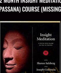12 Month Insight Meditation (Vipassana) Course (Missing CD) - Sharon Salzberg