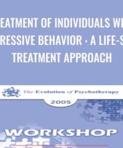Treatment of Individuals with Aggressive Behavior : A Life-Span Treatment Approach - Donald Meichenbaum