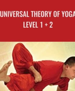 Universal Theory of Yoga Level 1 + 2 - Andrey Lappa
