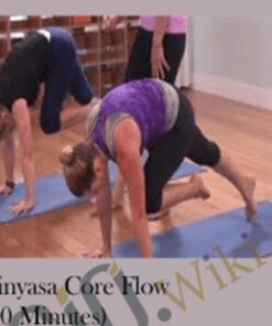 Vinyasa Core Flow (30 Minutes) – Yoga CoBective – Anaswara