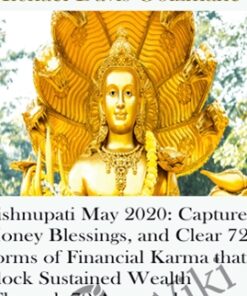 Vishnupati May 2020: Capture Money Blessings, and Clear 72 Forms of Financial Karma that Block Sustained Wealth (Through 72 Ancestral Generations): the "Financial Preserver and Sustainer" Archetype