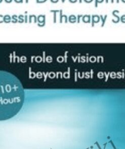 Visual Development Processing Therapy Series - Leonard J. Press & Christine Winter-Rundell