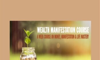 Wealth Manifestation Course - Kris Dillard