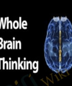 Whole Brain Thinking – Mark Buchanan
