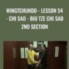 WingTchunDo - Lesson 54 - Chi Sao - Biu Tze Chi Sao 2nd Section - Sifu Fernandez