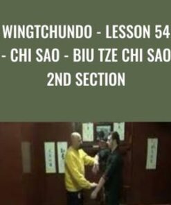 WingTchunDo - Lesson 54 - Chi Sao - Biu Tze Chi Sao 2nd Section - Sifu Fernandez
