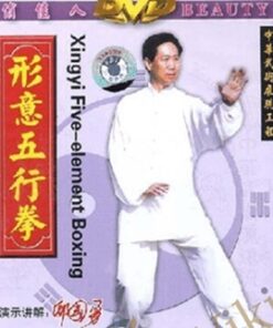 Xingyi Five Elements Boxing - Adam Hsu