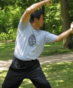 Yin Style Bagua – Seizing and Grasping - He Jinbao