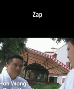 Zap - Hon Wong and Gordon Fang-Wong