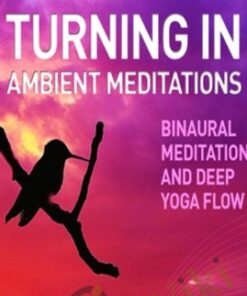 Turning In - Ambient Meditations - iAwake