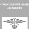 Arcturian Caduceus Transmission and Meditation