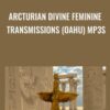 Arcturian Divine Feminine Transmissions (Oahu) mp3s