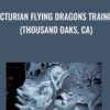 Arcturian Flying Dragons Training (Thousand Oaks, CA)