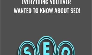 Everything You Ever Wanted To Know About SEO