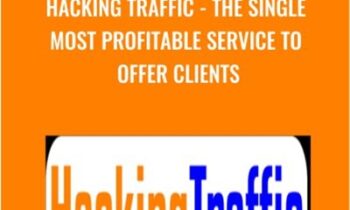 Hacking Traffic - The Single Most Profitable Service To Offer Clients