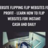 Website Flipping Flip Websites For Profit - Learn How To Flip Websites For Instant Cash And Daily