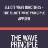 Elliott Wave Junctures - The Elliott Wave Principle Applied - Jeffrey Kennedy