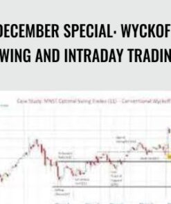 December Special: Wyckoff Swing and Intraday Trading – Wyckoffanalytics