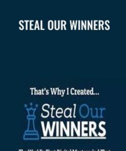 Steal Our Winners - Rich Schefren