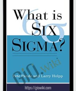 What is Six Sigma – Peter Pande