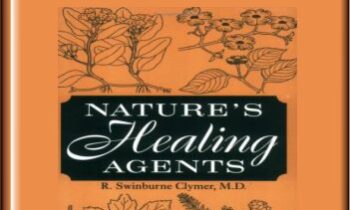 InterGalactics Endocrine Healing: Nature's Inner Pharmacopeia mp3s - Presence Healing Inc