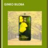 Ginko Biloba - Eric Thompson