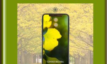 Ginko Biloba - Eric Thompson