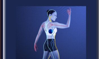 Rolling Along the Anatomy Trains - Tom Myers and Jill Mille