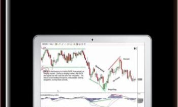 Taking The Trade 2022 - Steve Nison