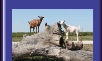 Goats 101 - Deborah Niemann