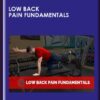 Low Back Pain Fundamentals - Dr. Michael Mash