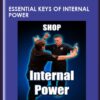 Essential Keys of Internal Power - Master Richard Clear