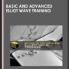 Basic & Advanced Elliot Wave Training - Trading Waves