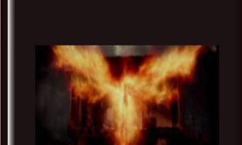 Bitcoin Investing Course - Rekt Capital