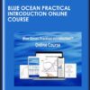 Blue Ocean Practical Introduction Online Course - BlueOceanStrategy