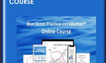 Blue Ocean Practical Introduction Online Course - BlueOceanStrategy