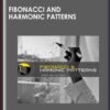 Fibonacci & Harmonic Patterns - Trading Waves