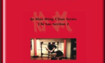 Ip Man Series: Chi Sao Section 2 - Sifu Sergio