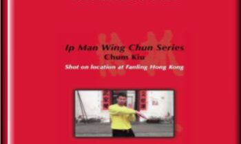 Ip Man Series: Chum Kiu Form - Sifu Sergio