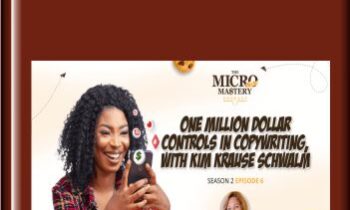 Million Dollar Controls - Kim Krause Schwalm