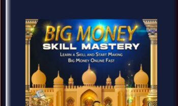 Big Money Skill Mastery - Ty Frankel