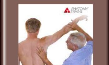 Freeing the Shoulders and Arms - Anatomy Trains