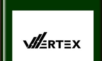 Mentorship Program - Vertex