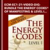 ECM-EC1-21-VIDEO-DIG-BUNDLE The Energy Codes® of Manifesting and Level I-Video of LIVE Event - Dr. Sue